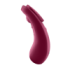 Satisfyer Sexy Secret Panty