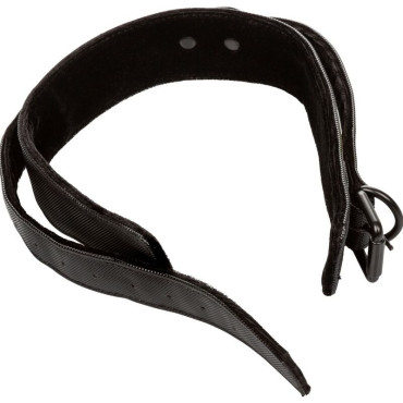 Calex Boundless Collar con Correa